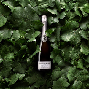 Franciacorta Brut Nature Millesimato BIO