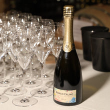 Carica l'immagine nel visualizzatore di Gallery, Franciacorta Brut BIO
