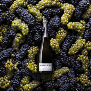 Franciacorta Brut Millesimato BIO