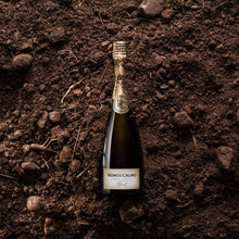 Carica l'immagine nel visualizzatore di Gallery, Franciacorta Brut BIO
